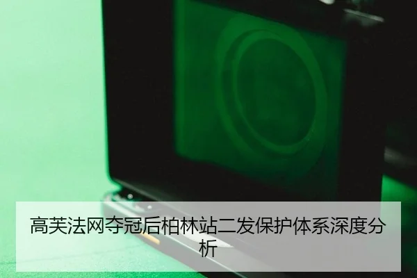 gao-fu-fa-wang-duo-guan-hou-bo-lin-zhan-er-fa-bao-hu-ti-xi-shen-du-fen-xi-2-211.jpg